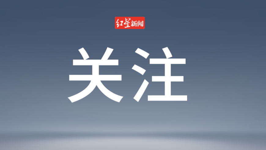 天天二四六最快开奖香港,剃龙头不小心剃成龙族了,收益成语分析落实_标配版V2.62
