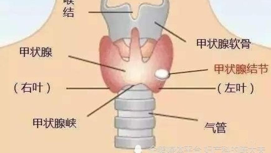 中央军委后勤保障部公开招考,管家婆资料大全免费,详细释义解释落实_云端版V11.58