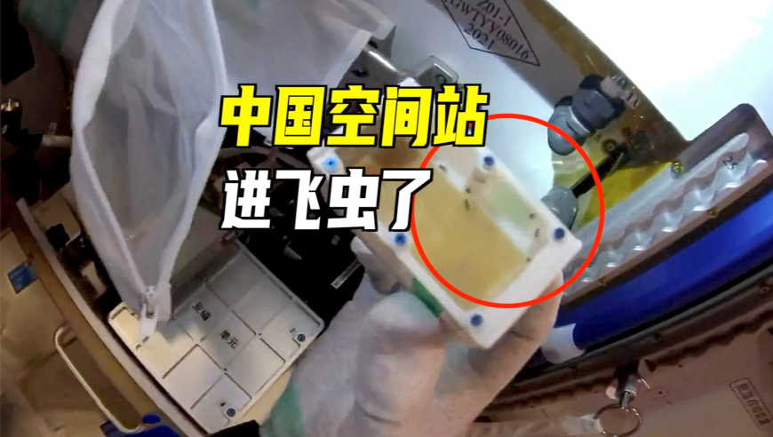 张继科说打了十三针封闭,管家婆精准资料期期准下载官宣刘,精准解释落实的人生哲理_体验版V5.11