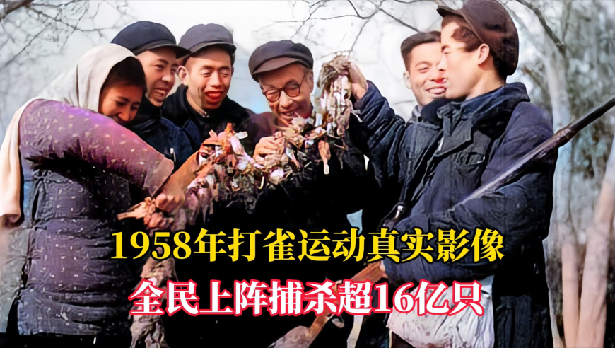 澳门开彩结果现场直播,AI曹政奭直播掉马,最新答案解释落实_粉丝版V9.4